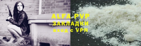 спиды Вяземский