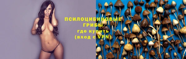 МДПВ Вязники