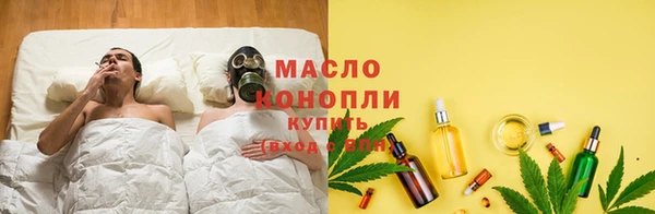 спиды Вяземский
