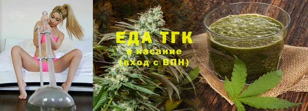 спиды Вяземский
