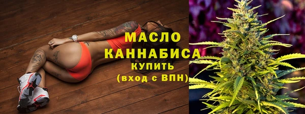 спиды Вяземский