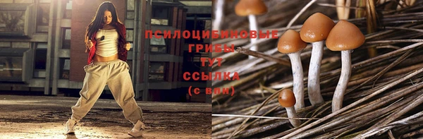 первитин Вязьма