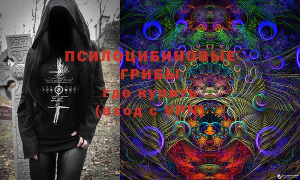 спиды Вяземский