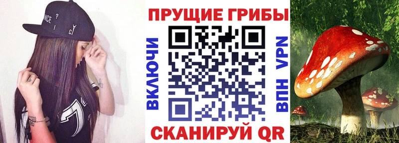 МЕГА tor  закладка  Домодедово  Галлюциногенные грибы GOLDEN TEACHER 